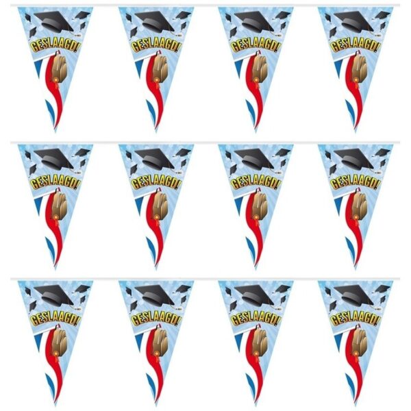 Geslaagd/afgestudeerd vlaggenlijn - 3x - slinger - 10 meter -