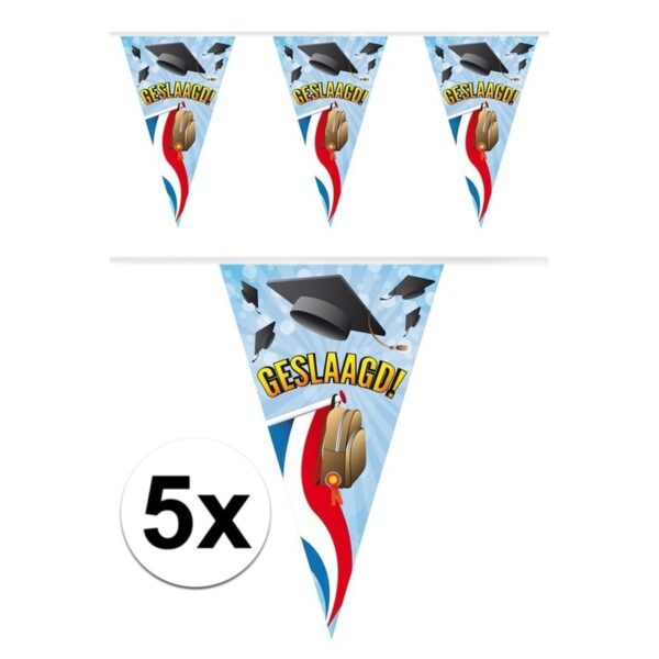 5x Vlaggenlijnen geslaagd thema feestartikelen 10 meter