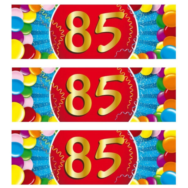 85 jaar leeftijd sticker - 10x - 19 x 6 cm - verjaardag/jubileum
