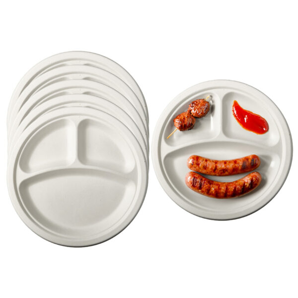 Pure BBQ/verjaardag wegwerp vakjesbordjes - 24x - D23 cm - afbreekbaar -