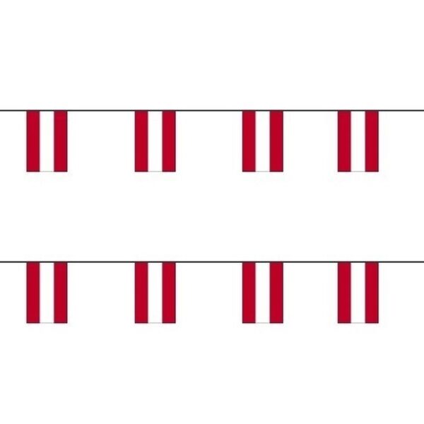 2x Papieren vlaggenlijnen Oostenrijk