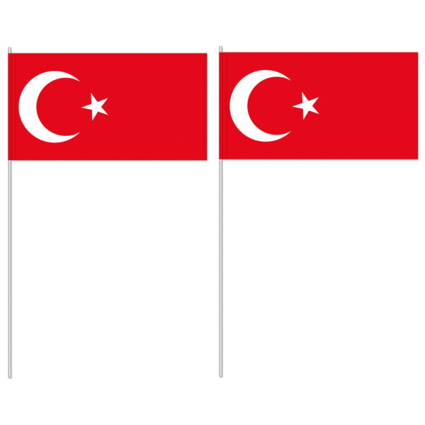 Zwaaivlaggetjes Turkije - 100x - papier - 12x24 cm - vlag op stokje -