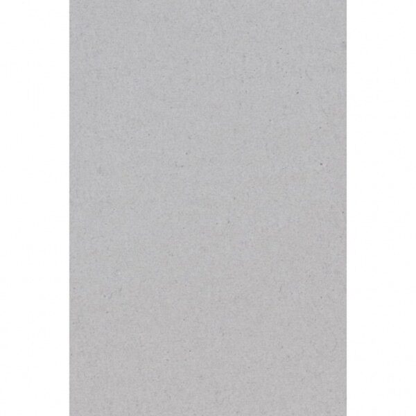2x Feest versiering licht zilver grijze tafelkleden 137 x 274 cm papier
