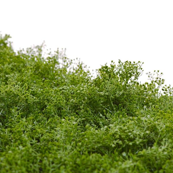 Kunst Mosmat promo 50x50cm - UV bestendig