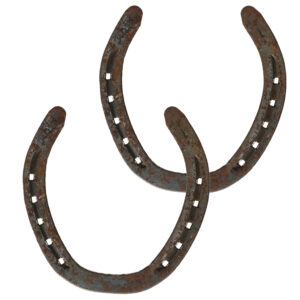 Volgende productafbeelding