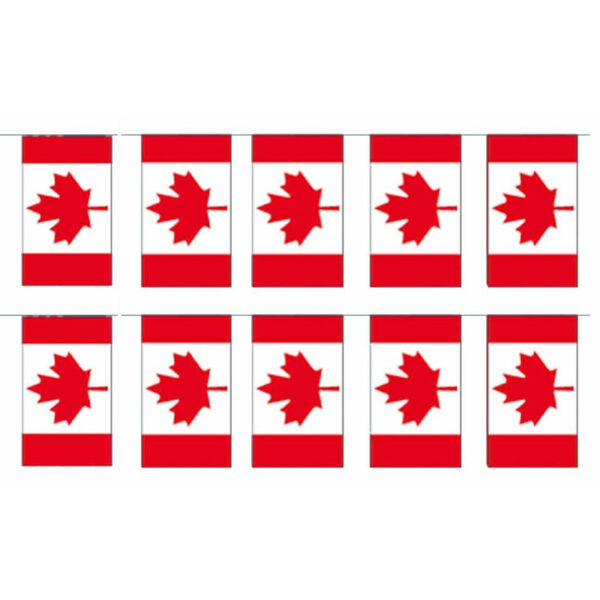 Papieren slinger vlaggetjes Canada - 2x - 400 cm - Canadese vlaggenlijn - Landen feestartikelen