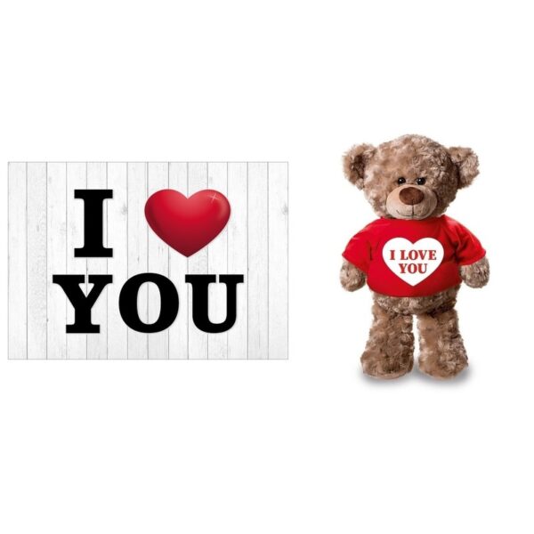 Knuffelbeer en kaart A5 - i love you - pluche - 24 cm -