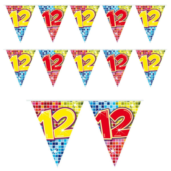 Verjaardag 12 jaar mini vlaggenlijn - 2x - 300 cm - papier versiering