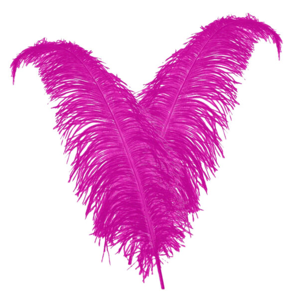Carnaval verkleed veer/struisvogelveren - 2x - roze - 50 cm - Carnaval - Sierveren/charleston veren