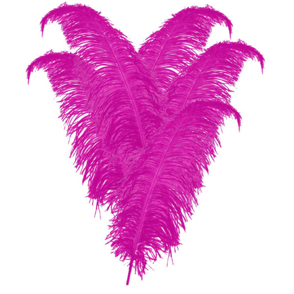 Carnaval verkleed veer/struisvogelveren - 10x - roze - 50 cm - Carnaval - Sierveren/charleston veren