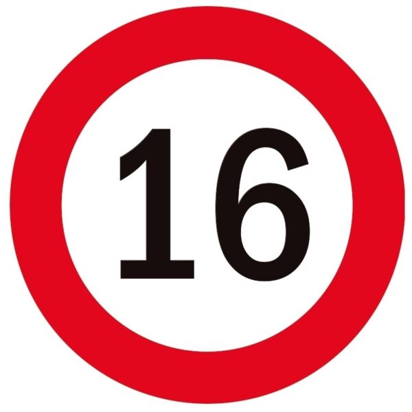 Bellatio Decorations 16 jaar onderzetters/bierviltjes - 50x stuks