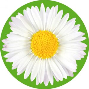 Vorige productafbeelding