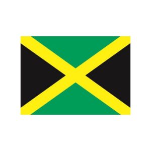 Vorige productafbeelding