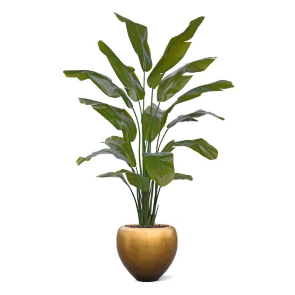 Traveller Palm promo 190cm