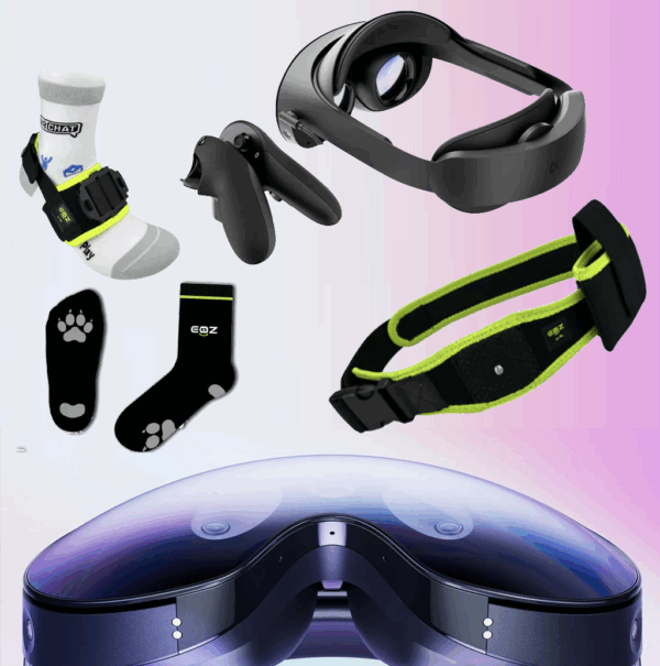 EOZ Promo Bundel (Refurbished Quest Pro)